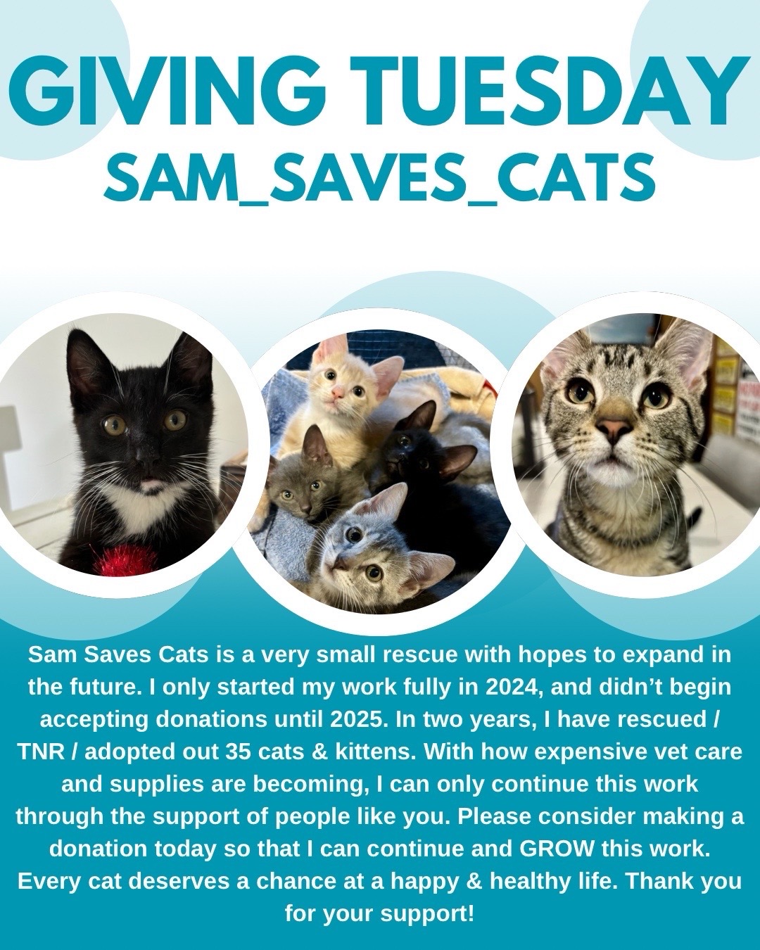 @sam_saves_cats
