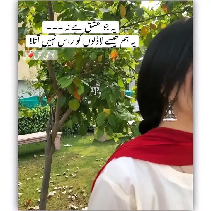 @Abdul Rehman