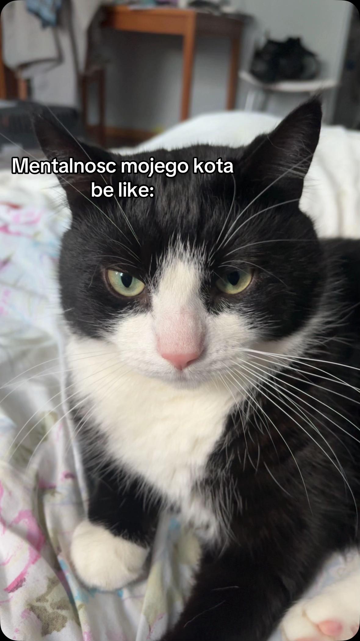 @k0walska04