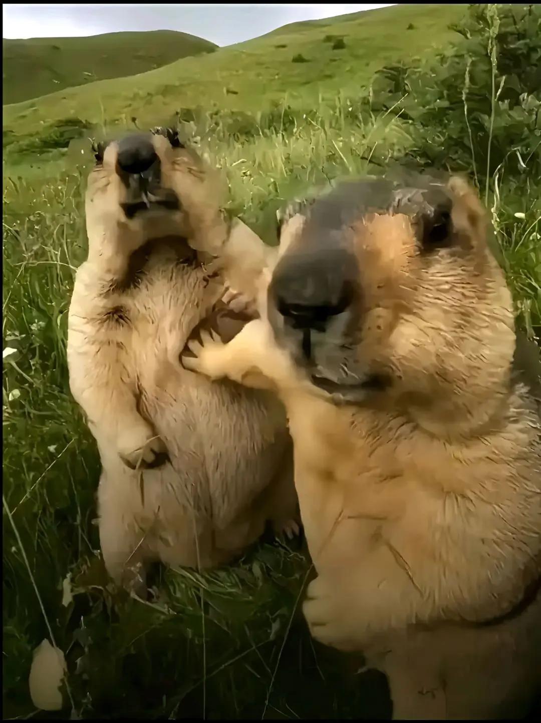 @Rodri_67