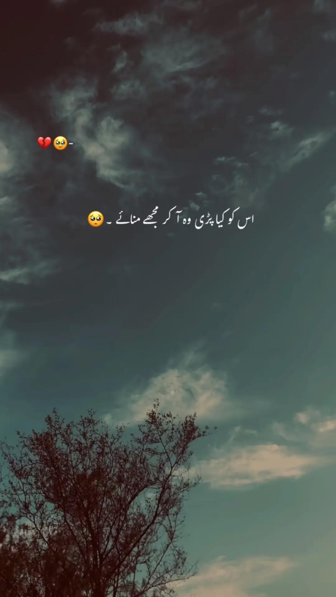 @Syeda Biyaa Shah🚩