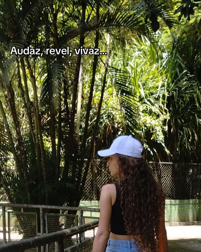 @Amanda Ferreira