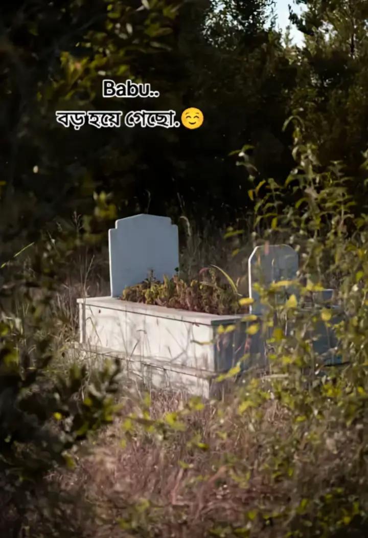 @┅━✿꧁শান্ত ছেলে ᥫ꧂✿━