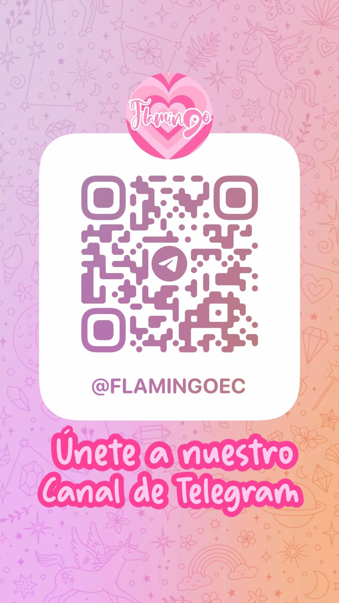 @💗FLAMINGO EC💗