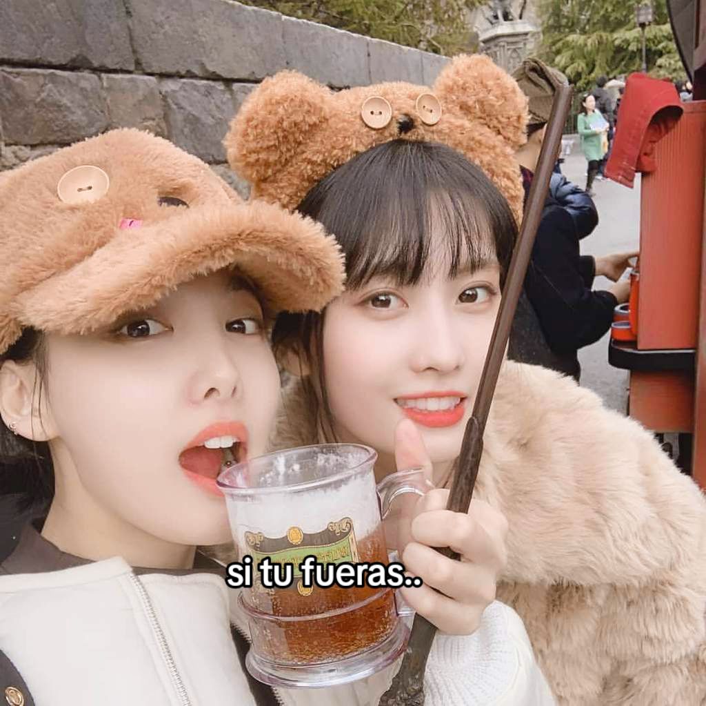 @iaan 🐈🌷