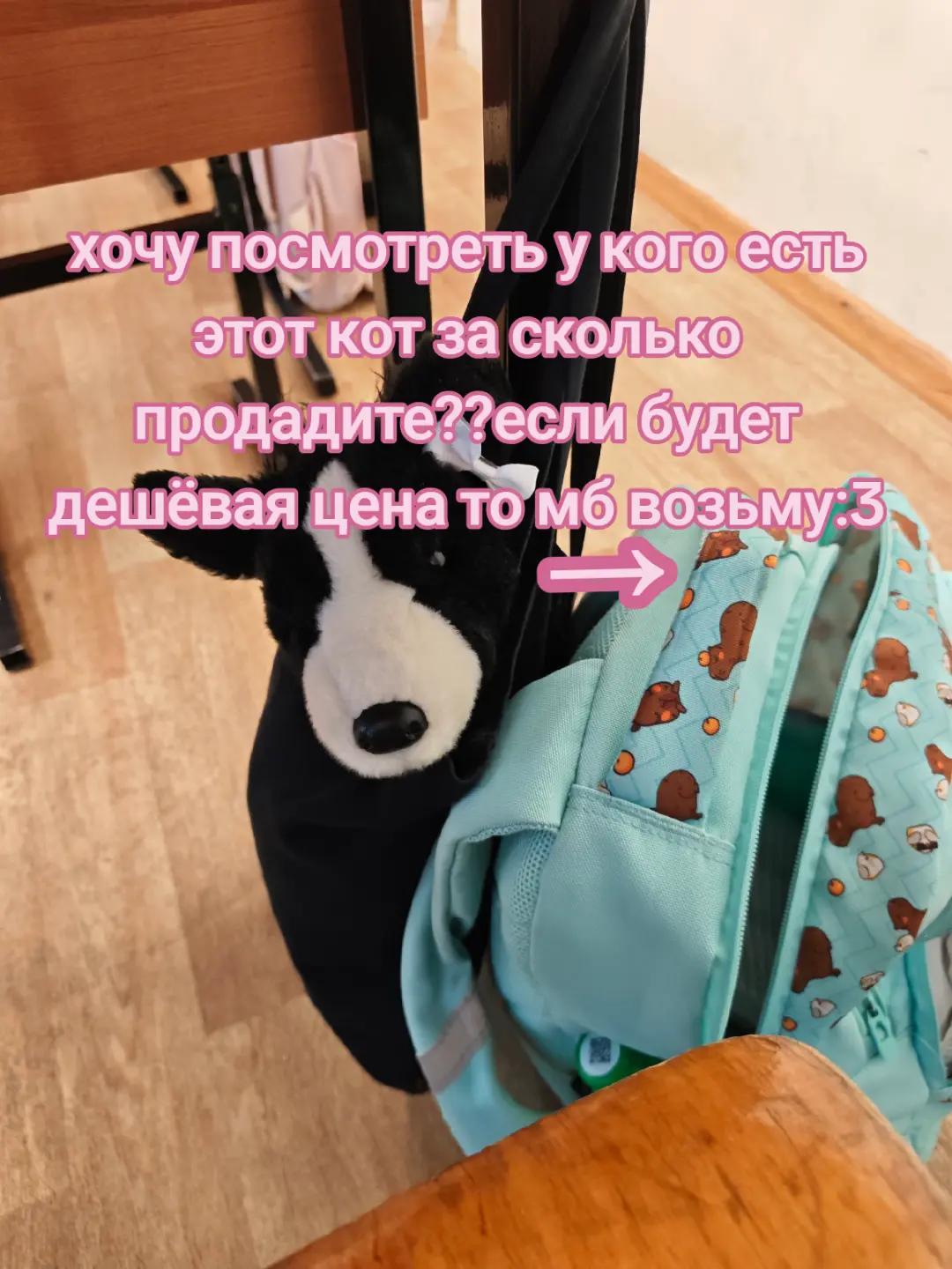 @🍦АБРИКОС🌫️[PDB] [ESSA]