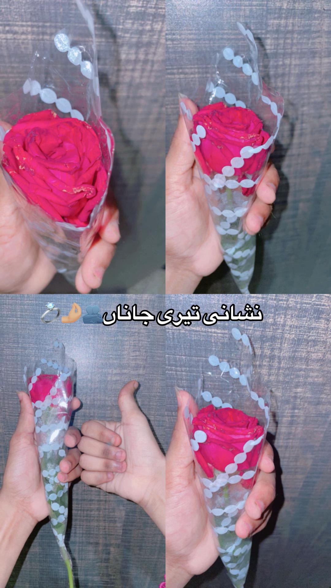 @عامو کی امانت💍🫂🧿🌏🫀