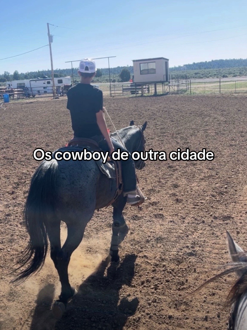 @joão sanches