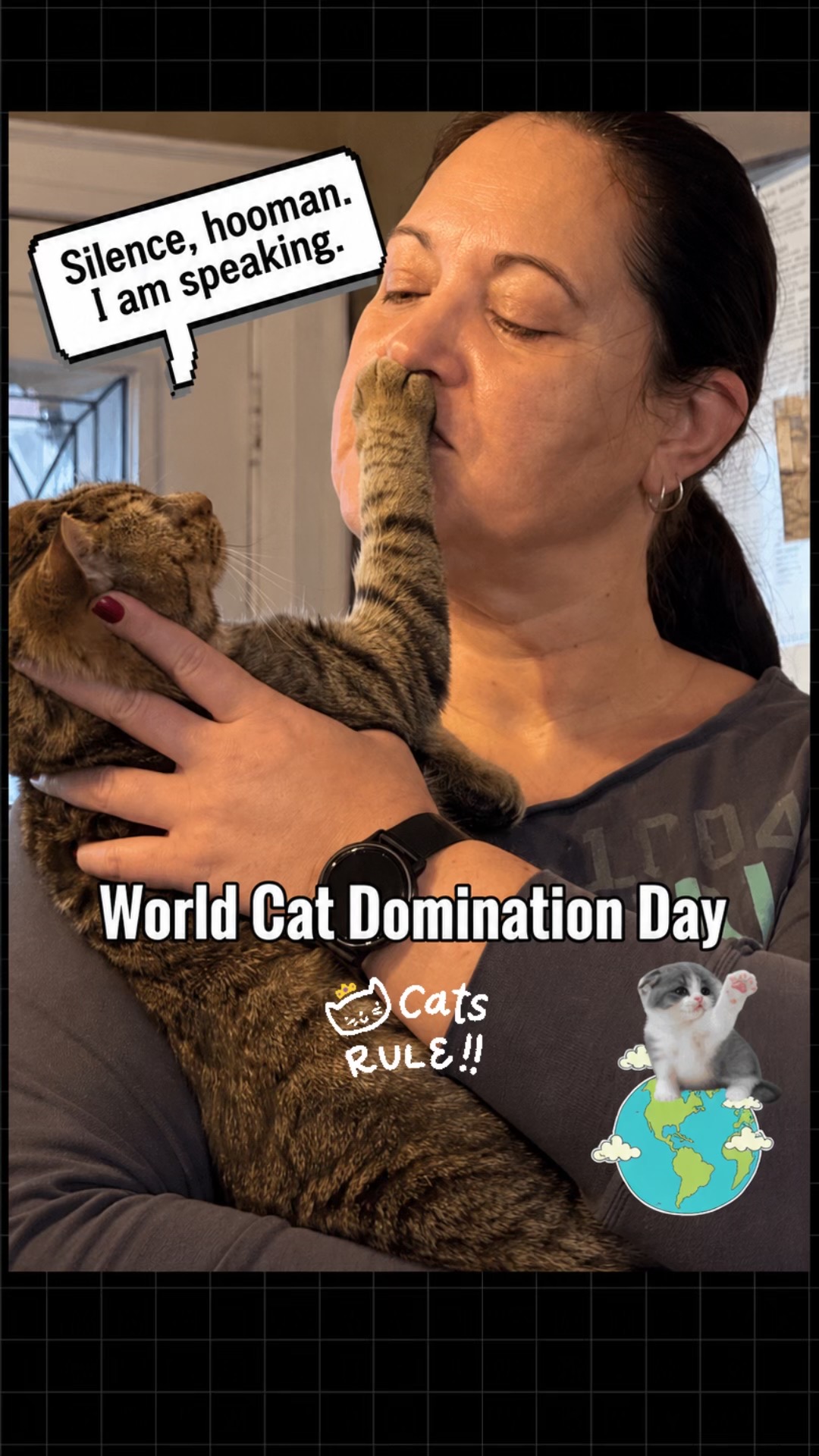 @North Toronto Cat Rescue
