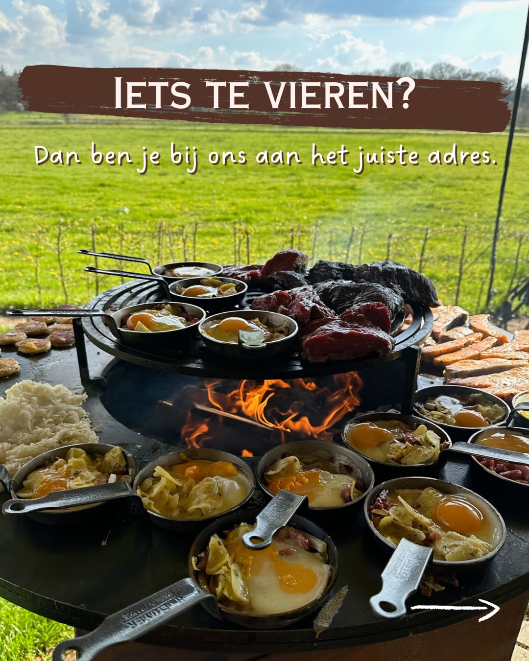 @Erve Vechtdal Koe Safari