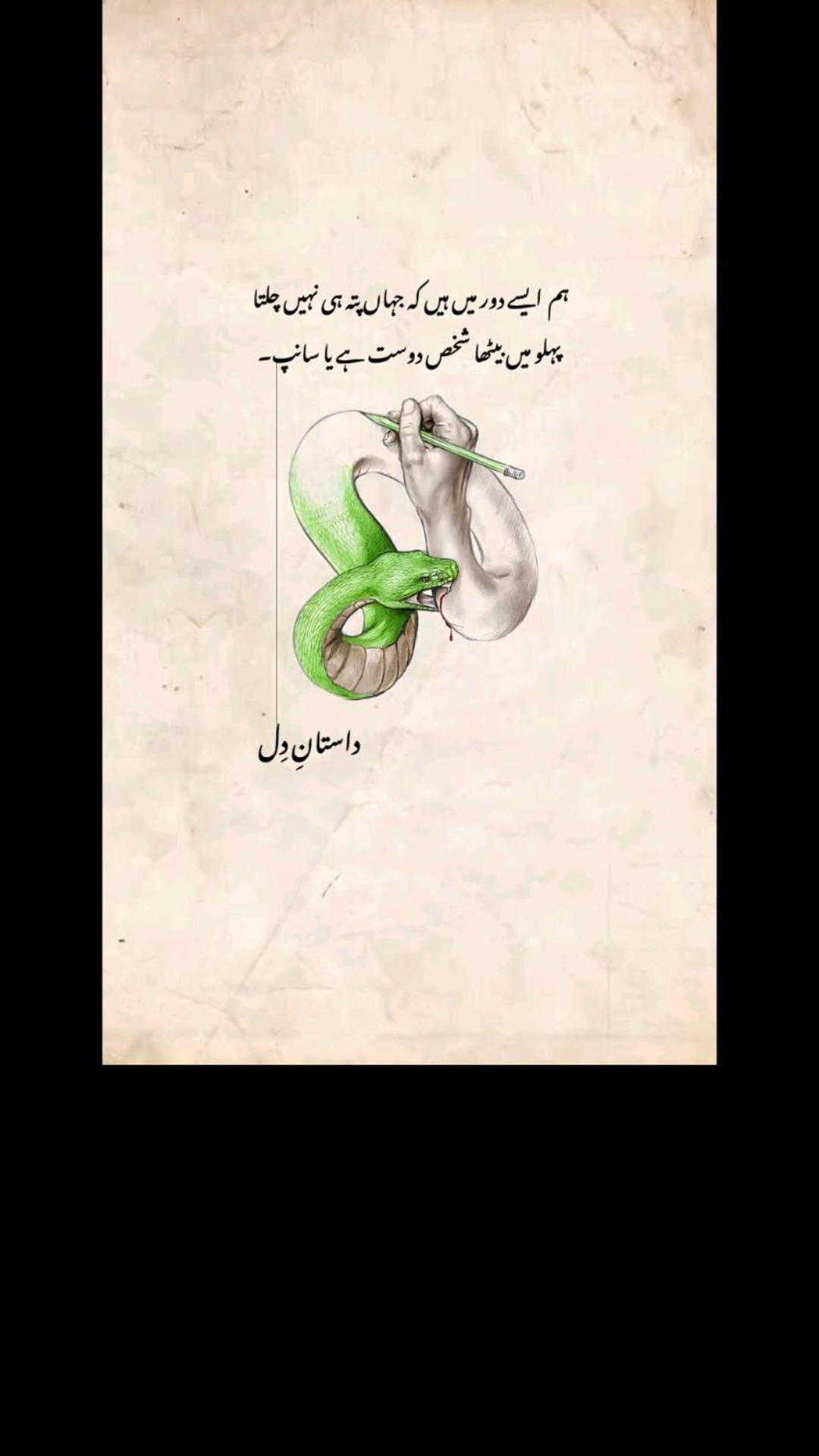 @Veer🫀afridi