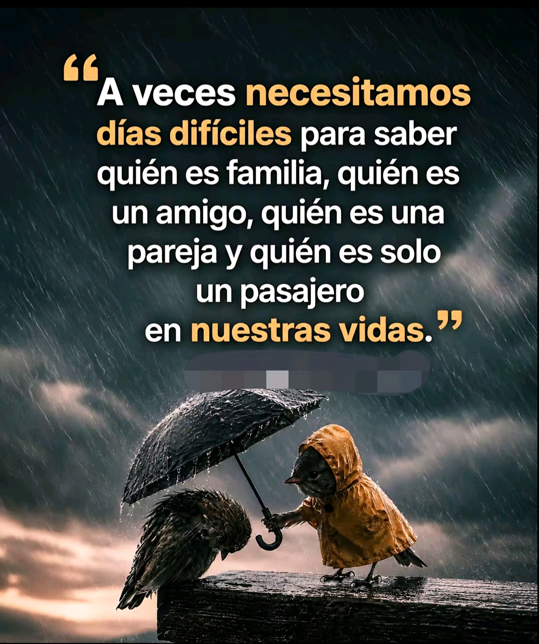 @Gabo