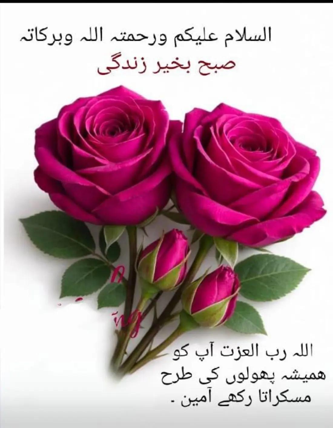 @Aslam Khan