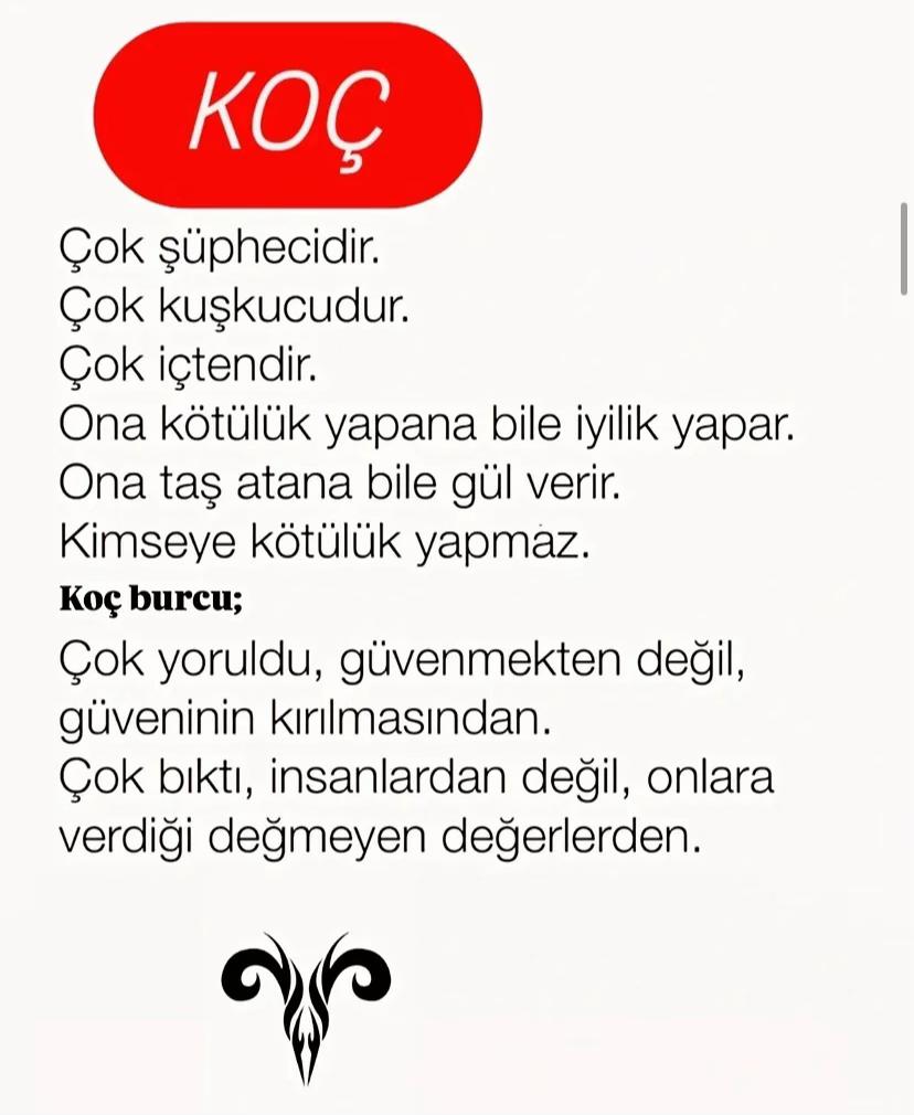 @kocburcu6