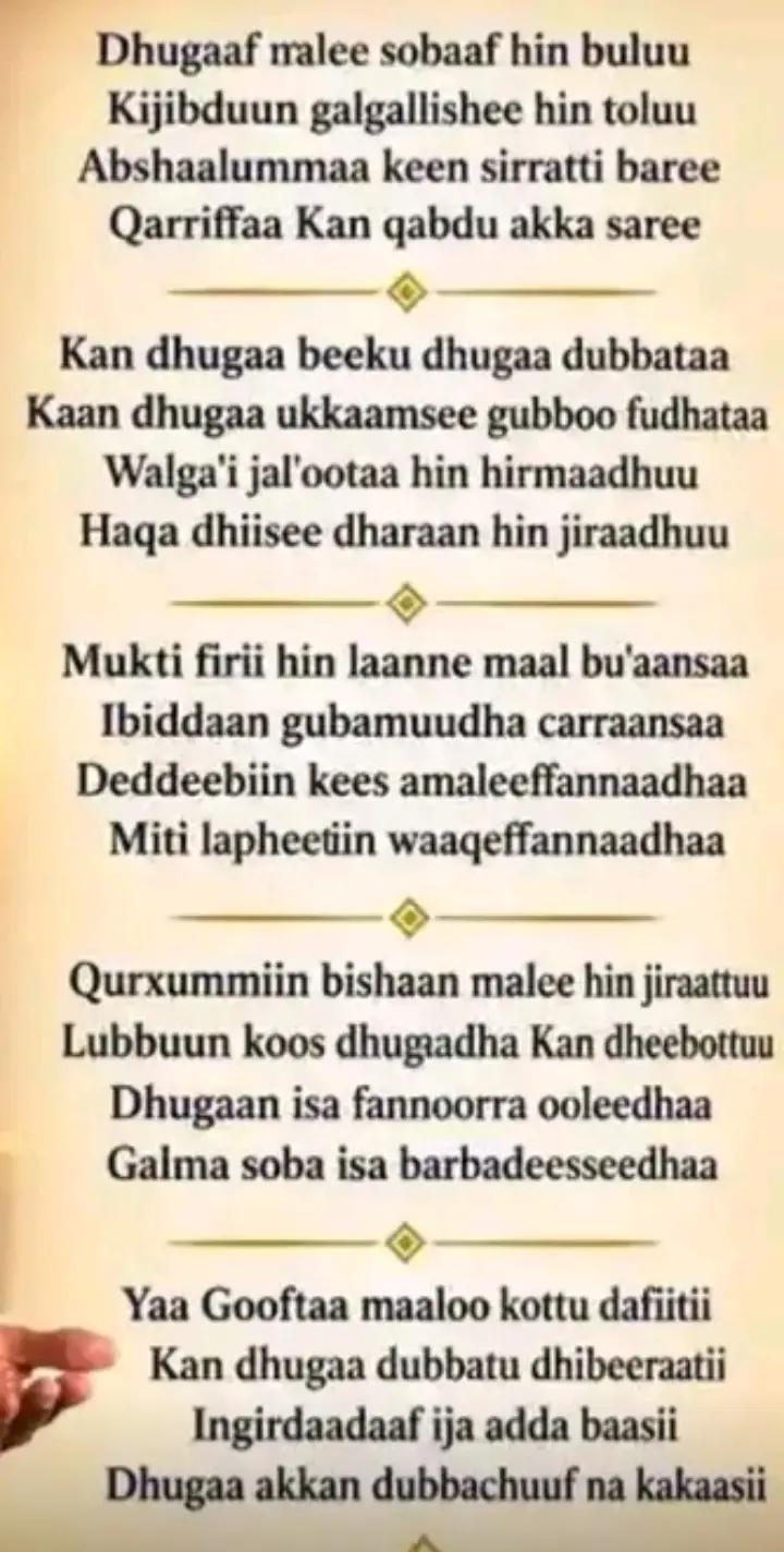 @Gurme Orth1319🌹