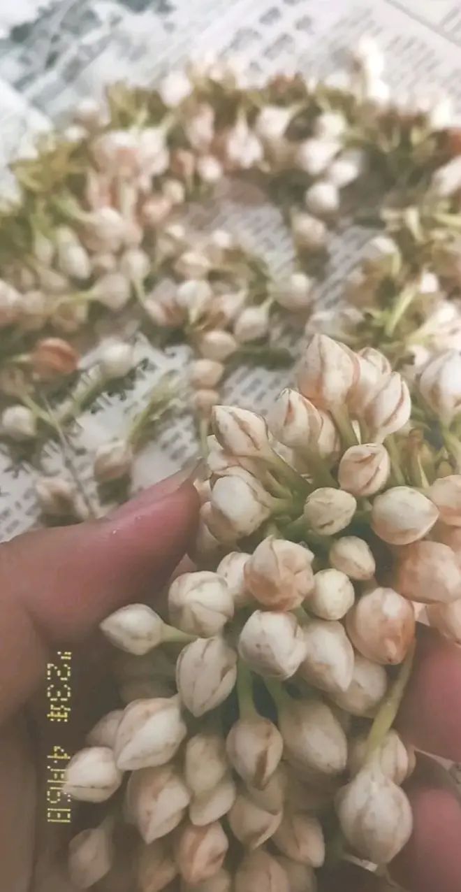 @🕉️ রো দ 🕉️