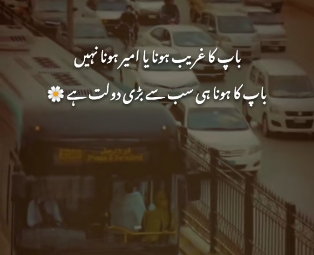 @Amjadafridi