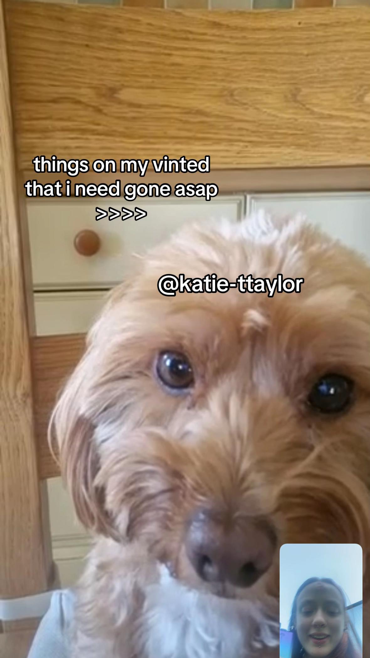 @katieseupdrecovery