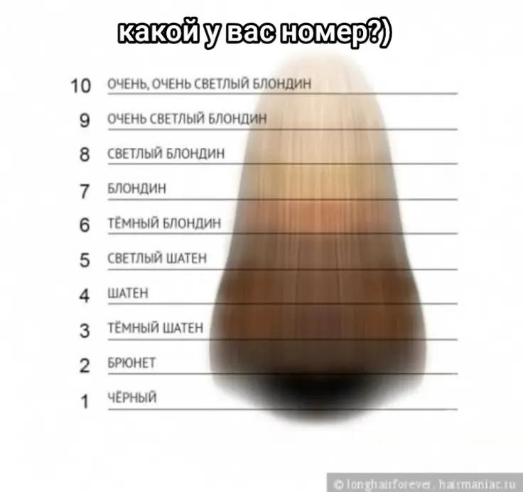 @👑АдРеНаЛиНкИ👑