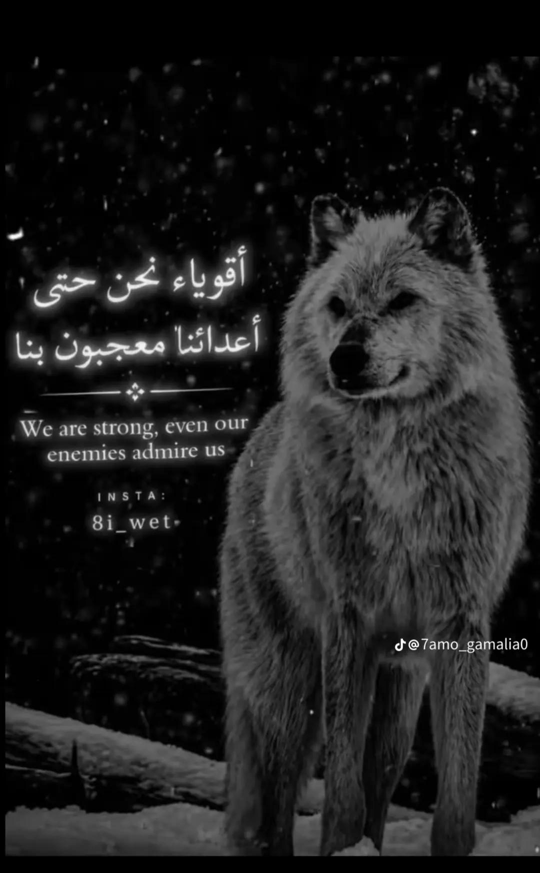 @اوكـــــــــا ابو قلب ابيض 🤍