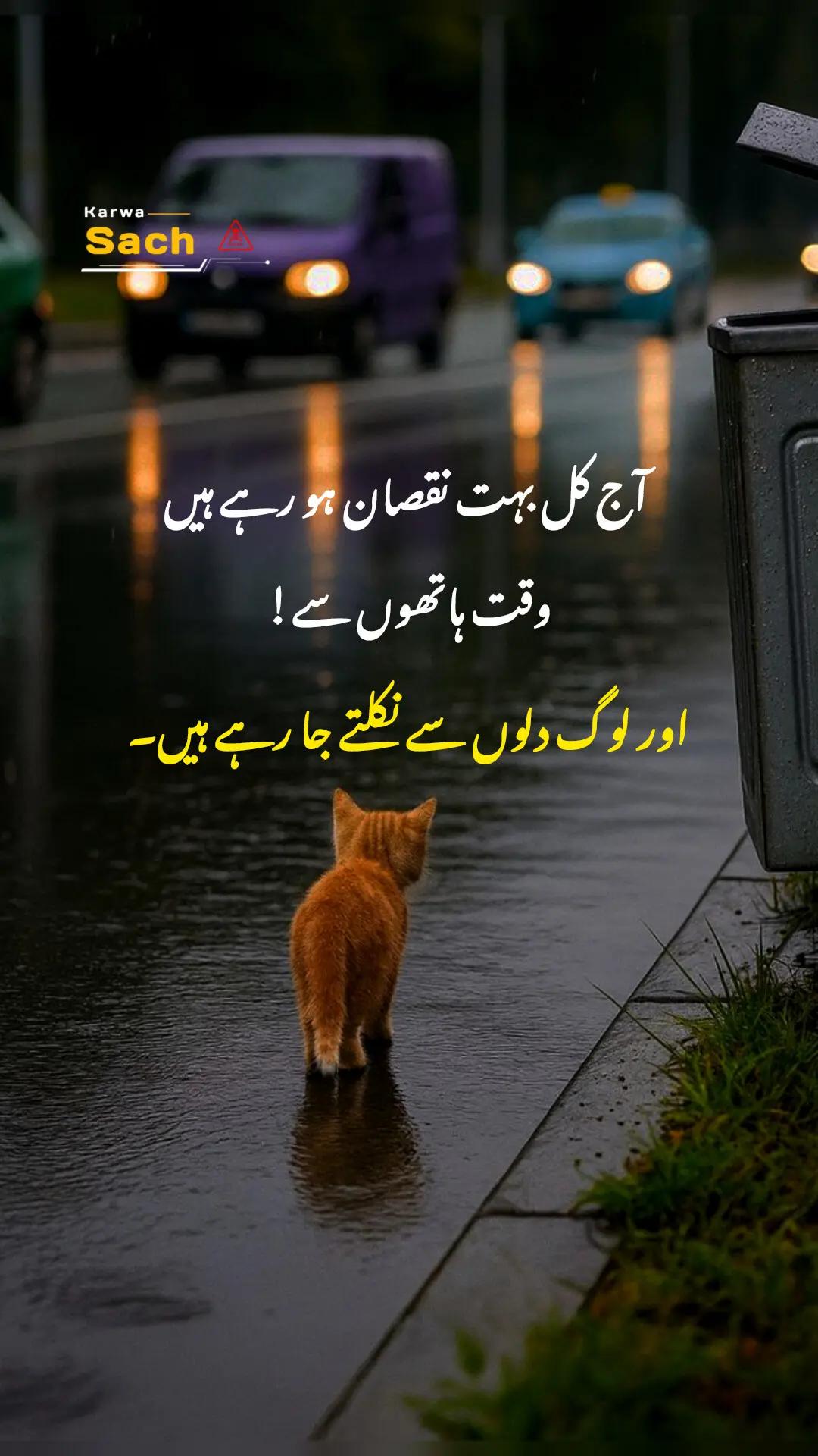 @Karwa Sach🐎