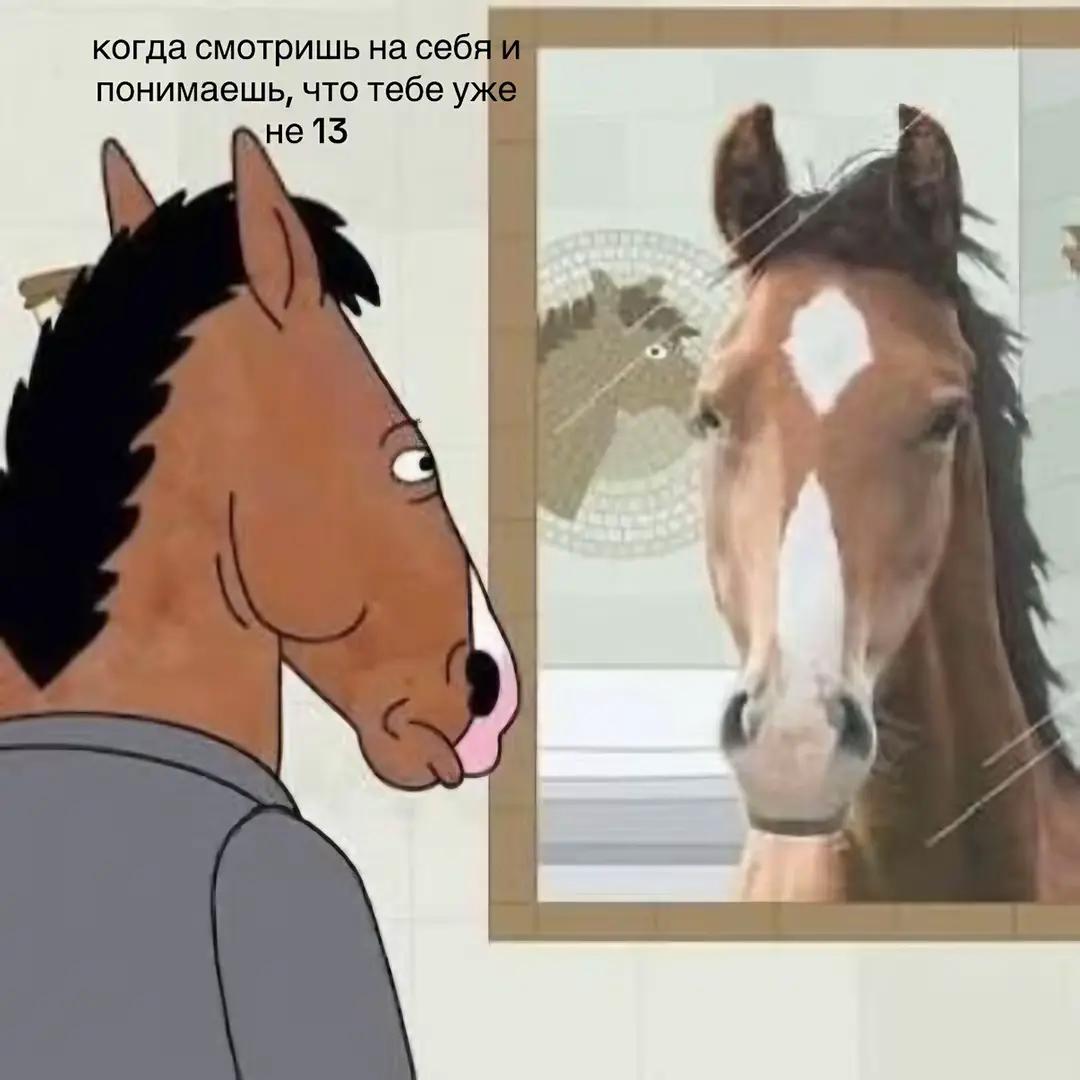 @qkard