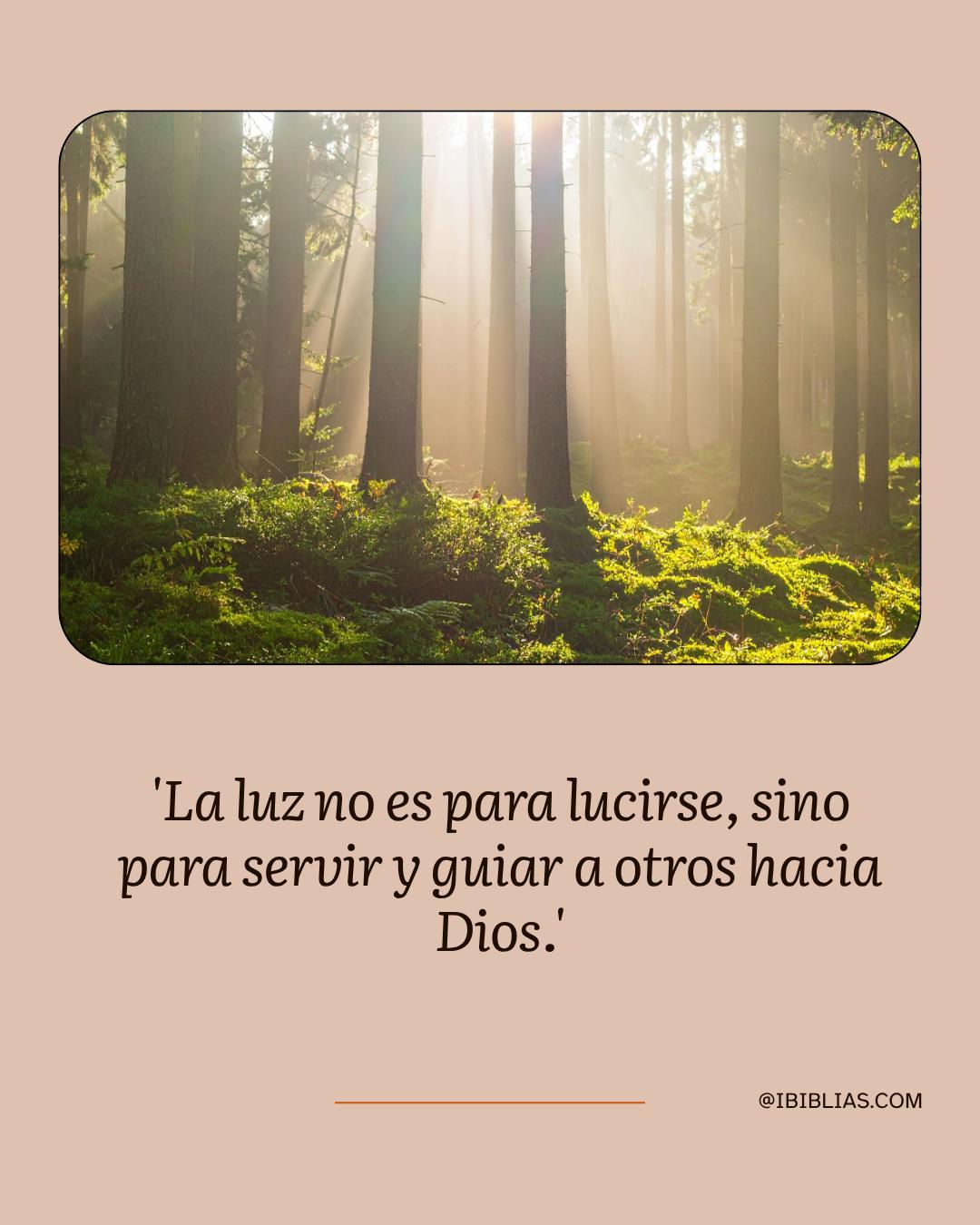 @IBIBLIAS