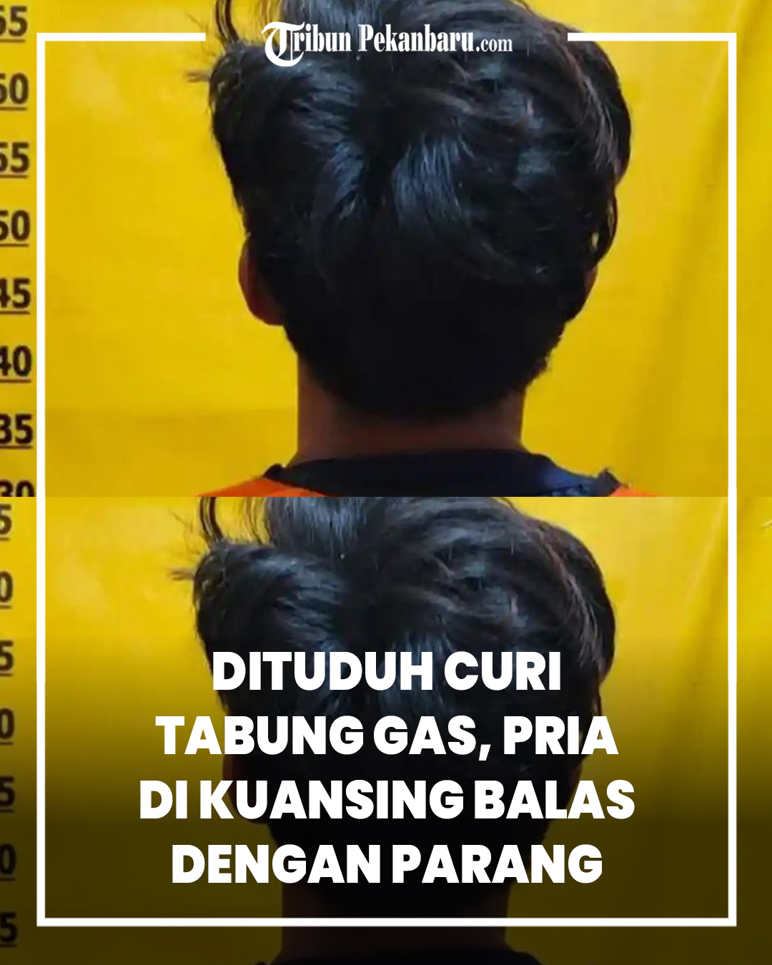 @Tribun Pekanbaru