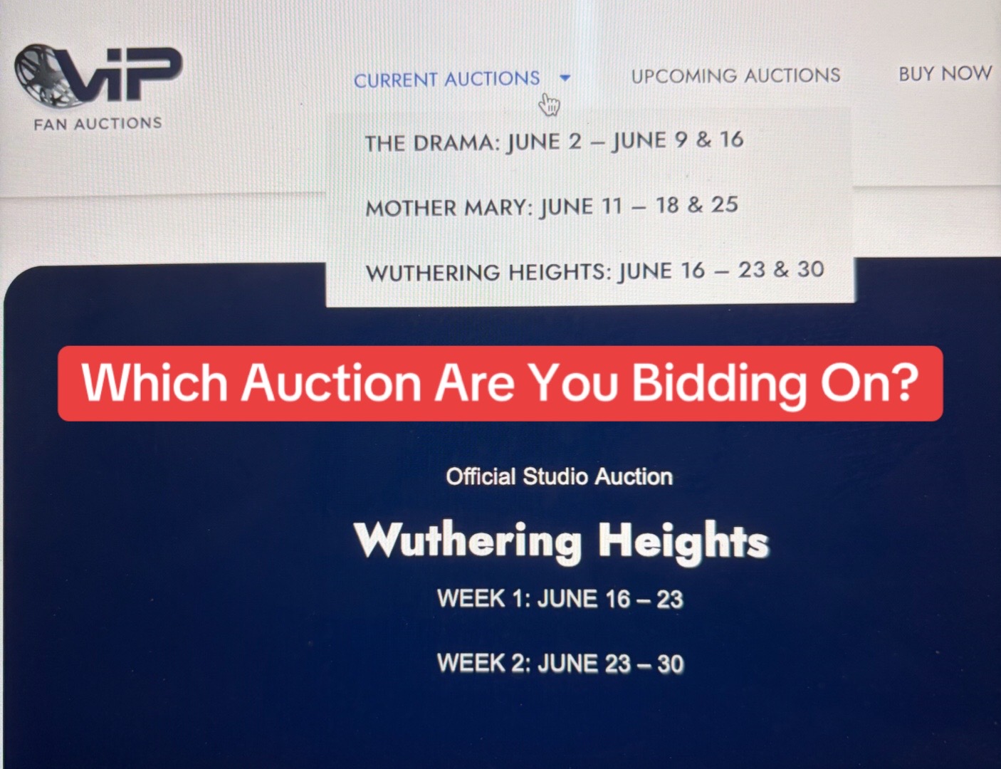 @VIP Fan Auctions