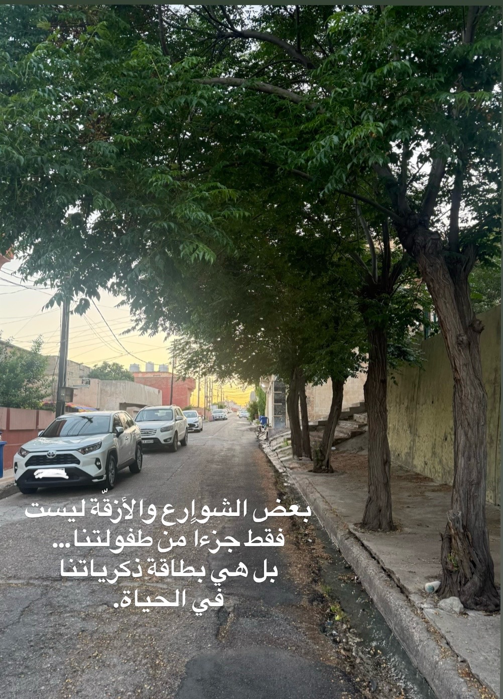@Zaid Brifkani MDزيد بريفكاني