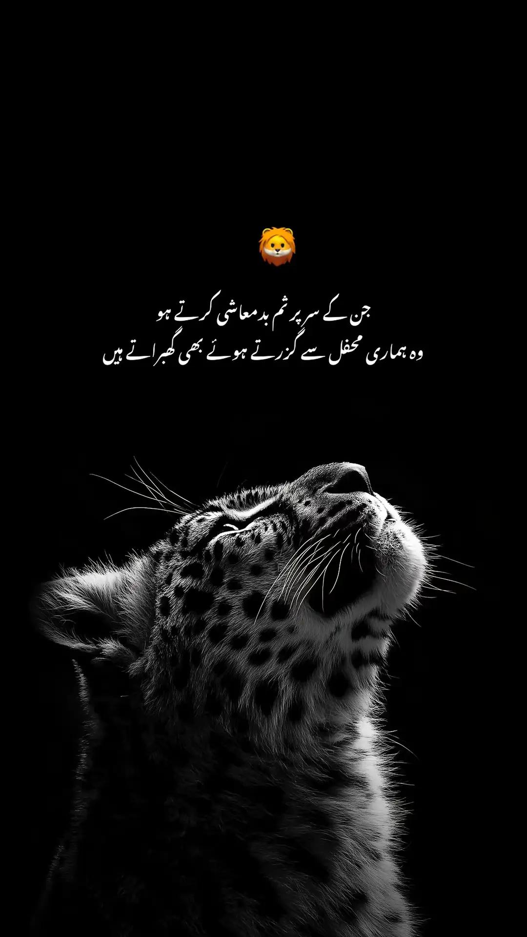 @🐊چوہان صاحب ڈیرےآلے🥷