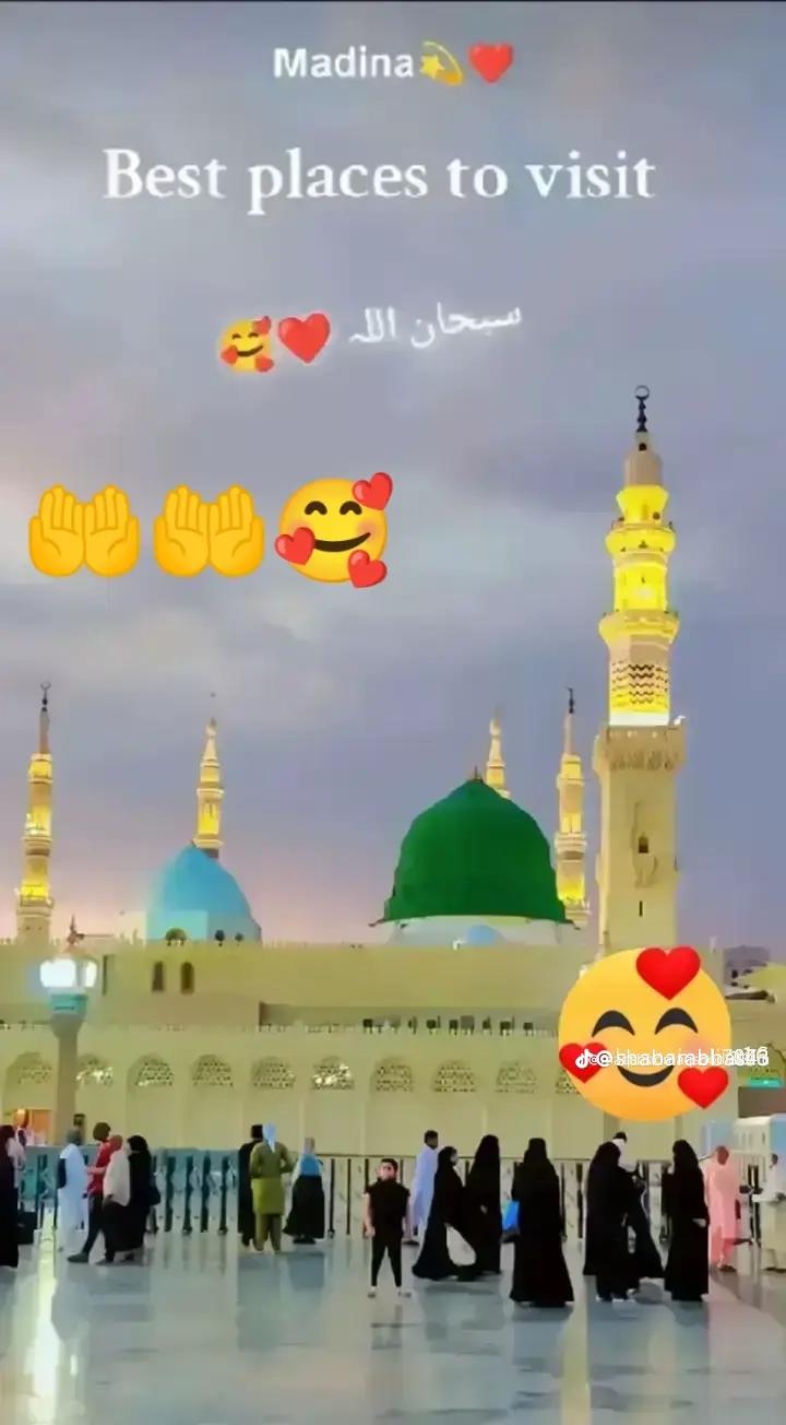 @single.foji7 single.foji7