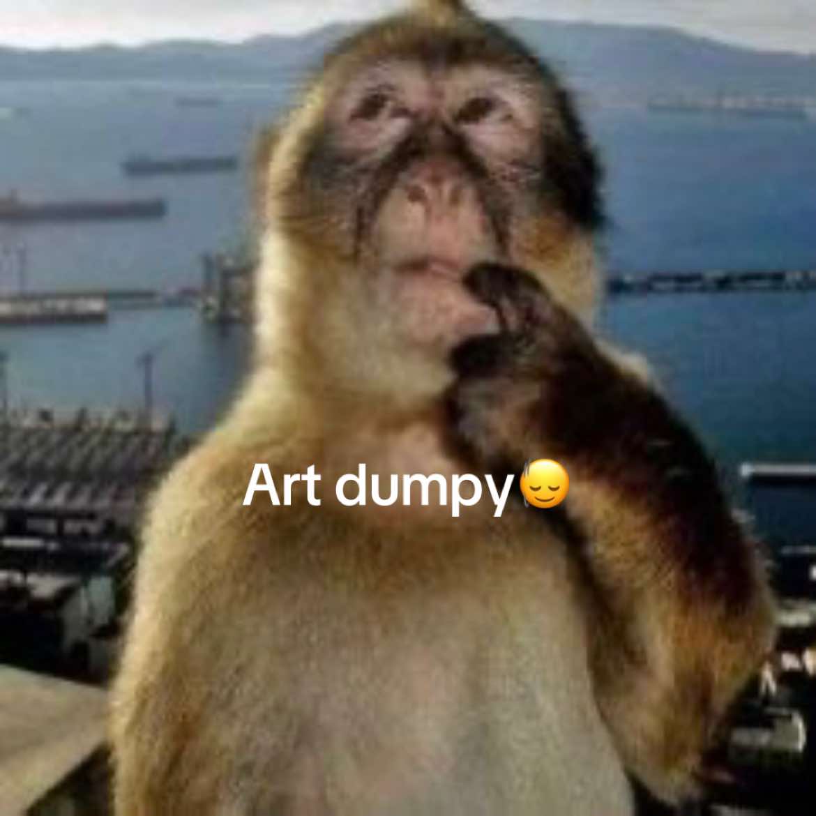 @dooki