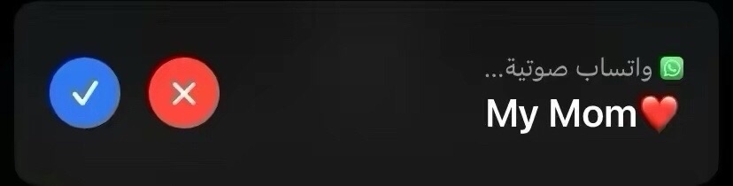 @لـيـث ،