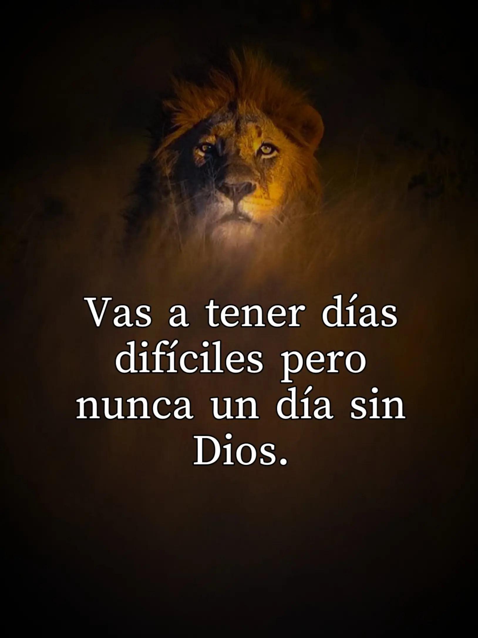 @Soldado de Jesus