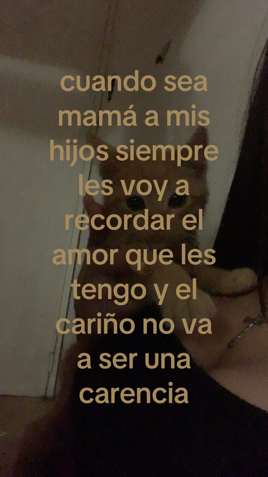 @user020379999