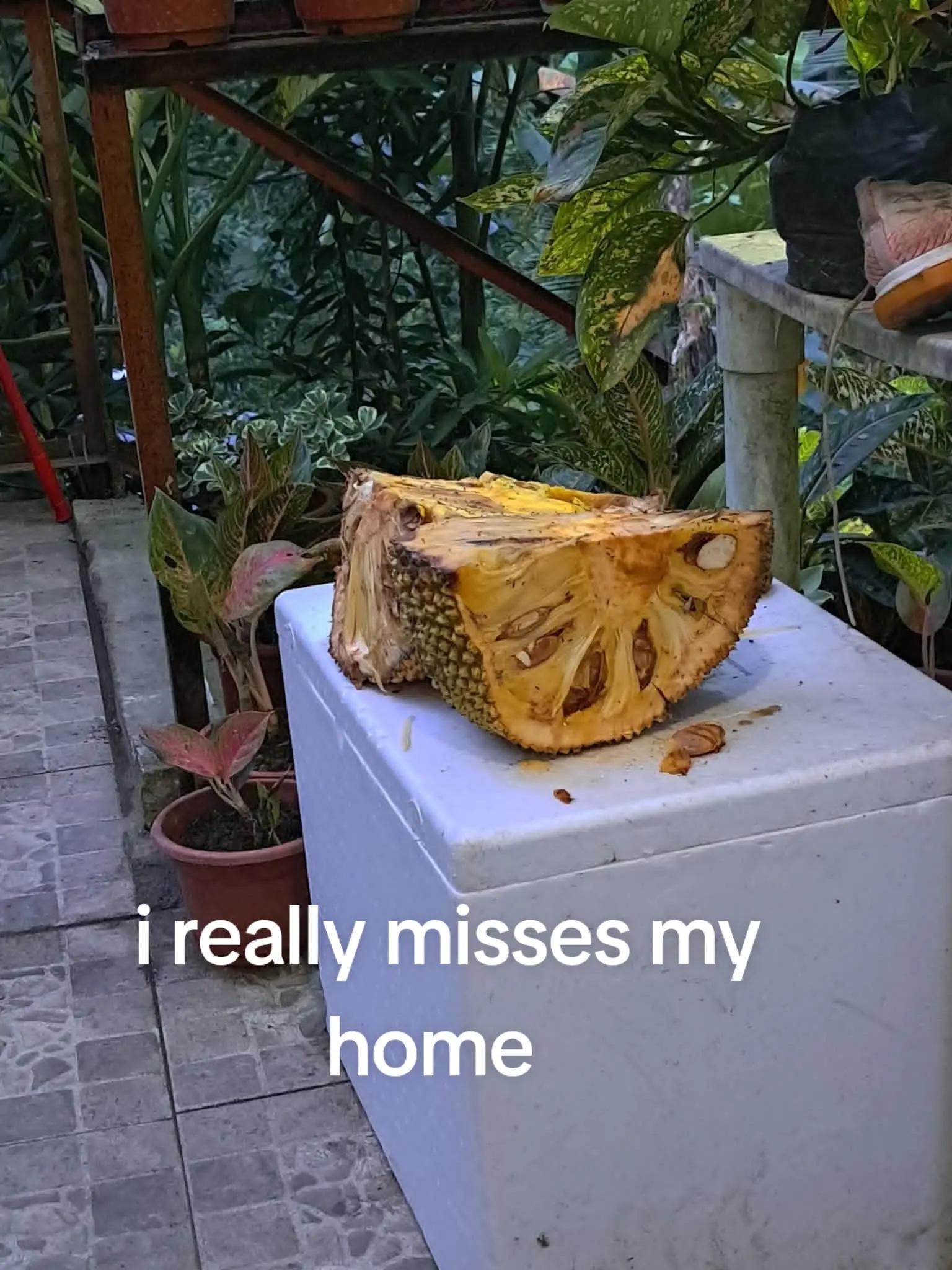 @ariyanababe
