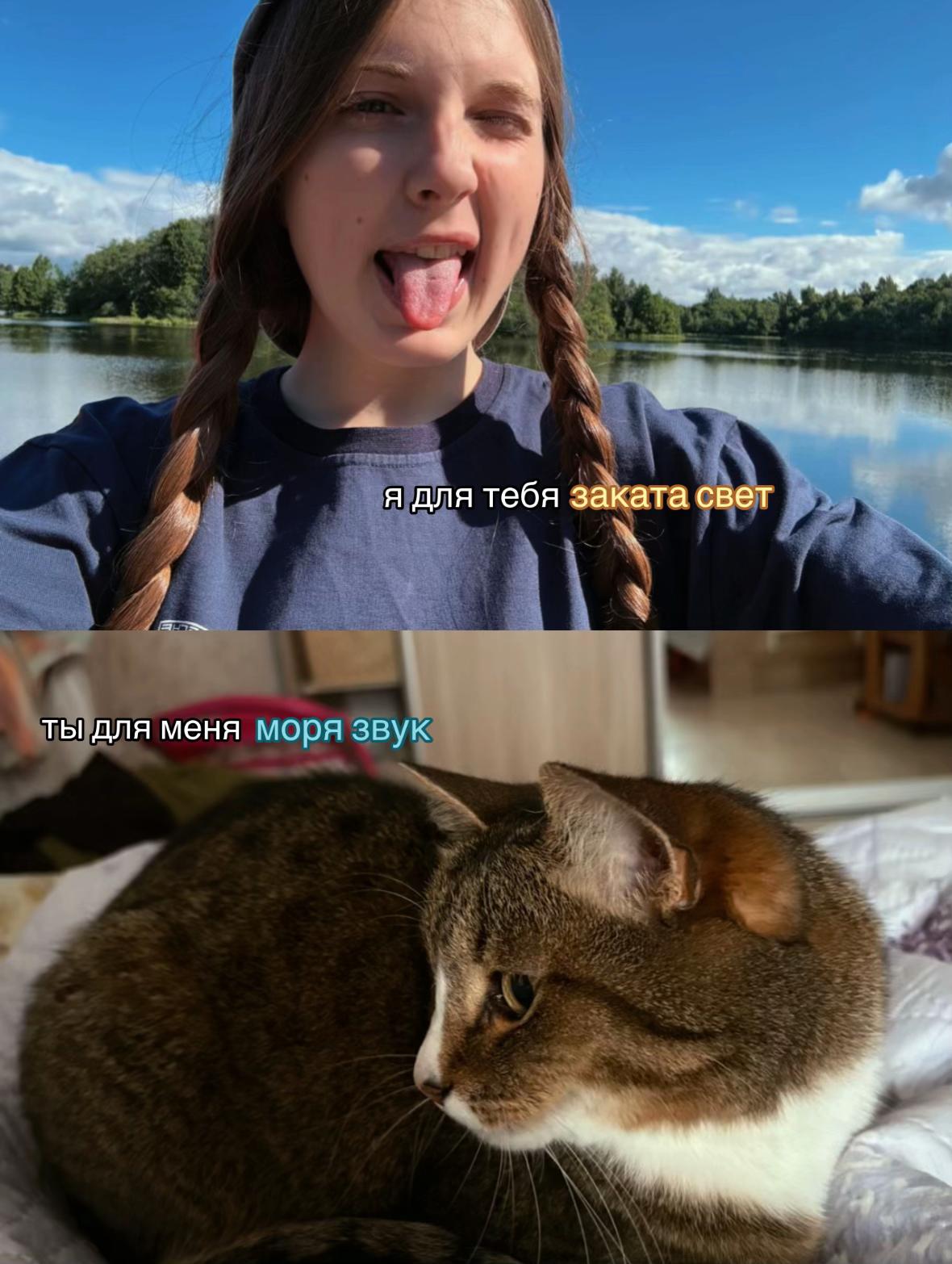 @eбландo