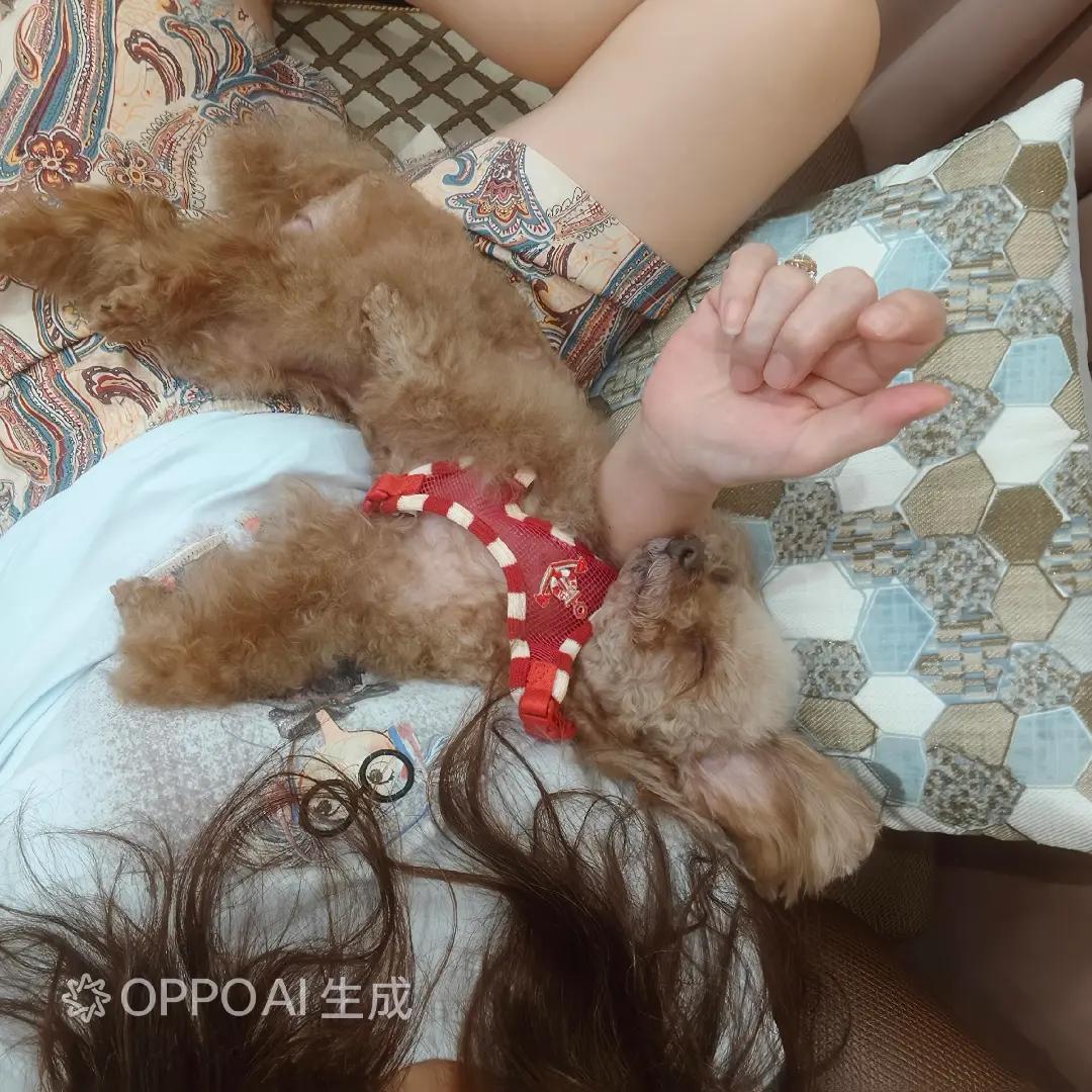 @辰辰