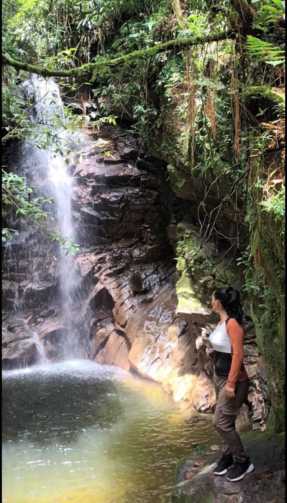 @sandyaperez70