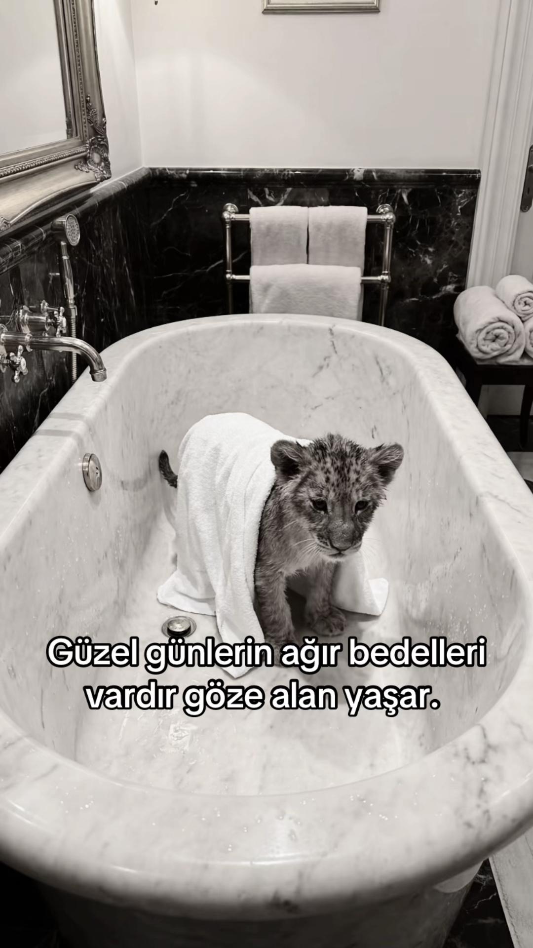 @İLKAY