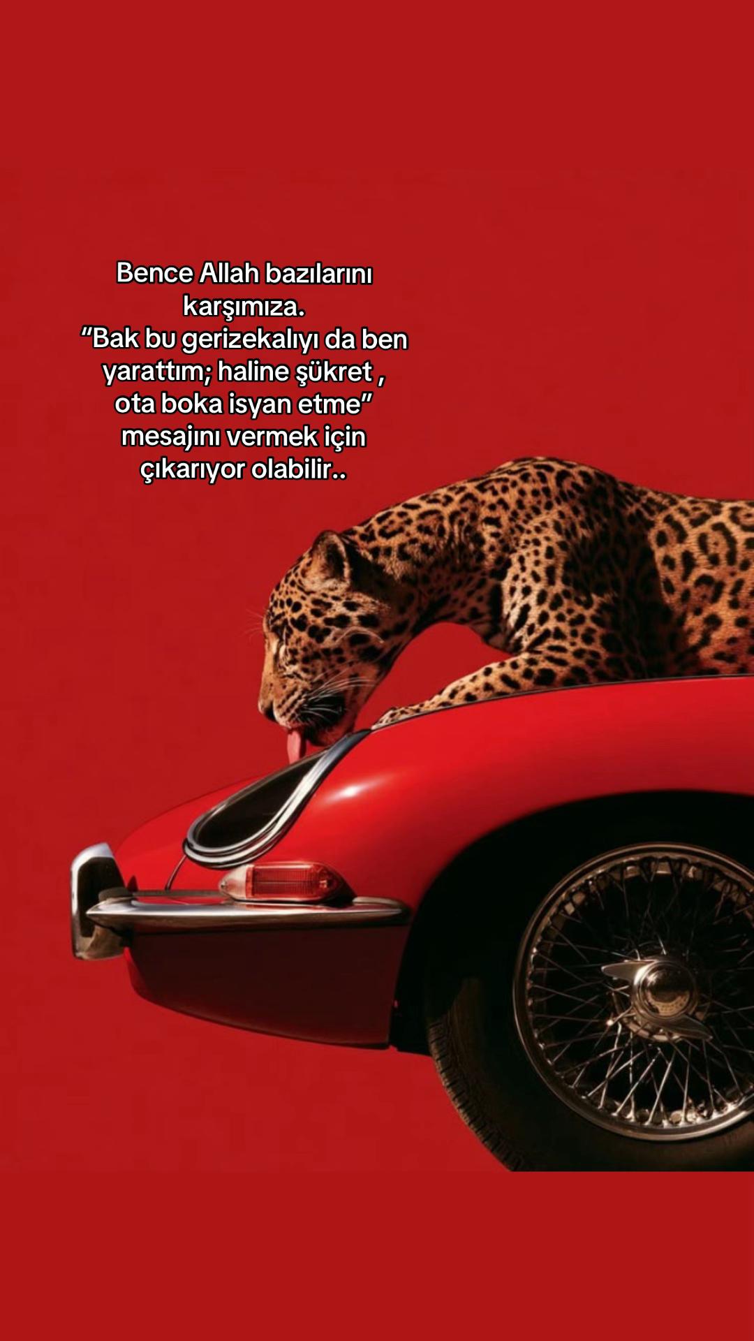 @Atarlı Kadın