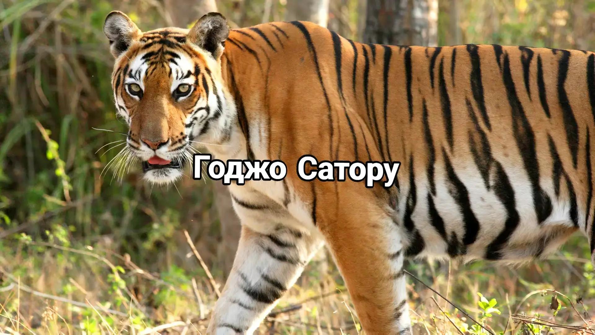 @Даниил Гордов