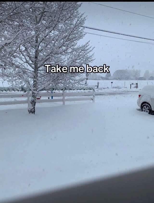 @David✝️✝️