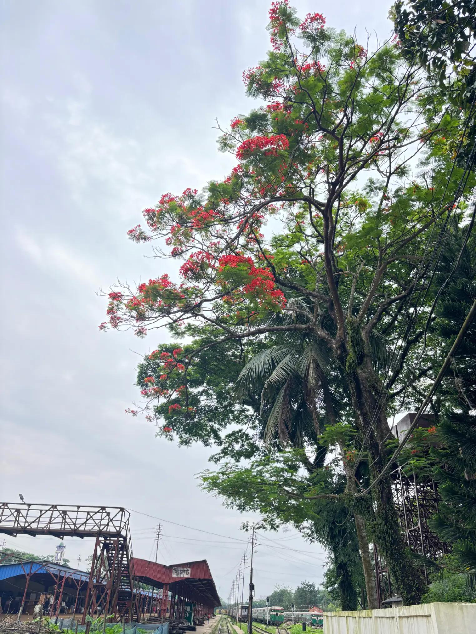 @𝑴𝒓.𝑺𝒐𝒖𝒓𝒂𝒗🇧🇩