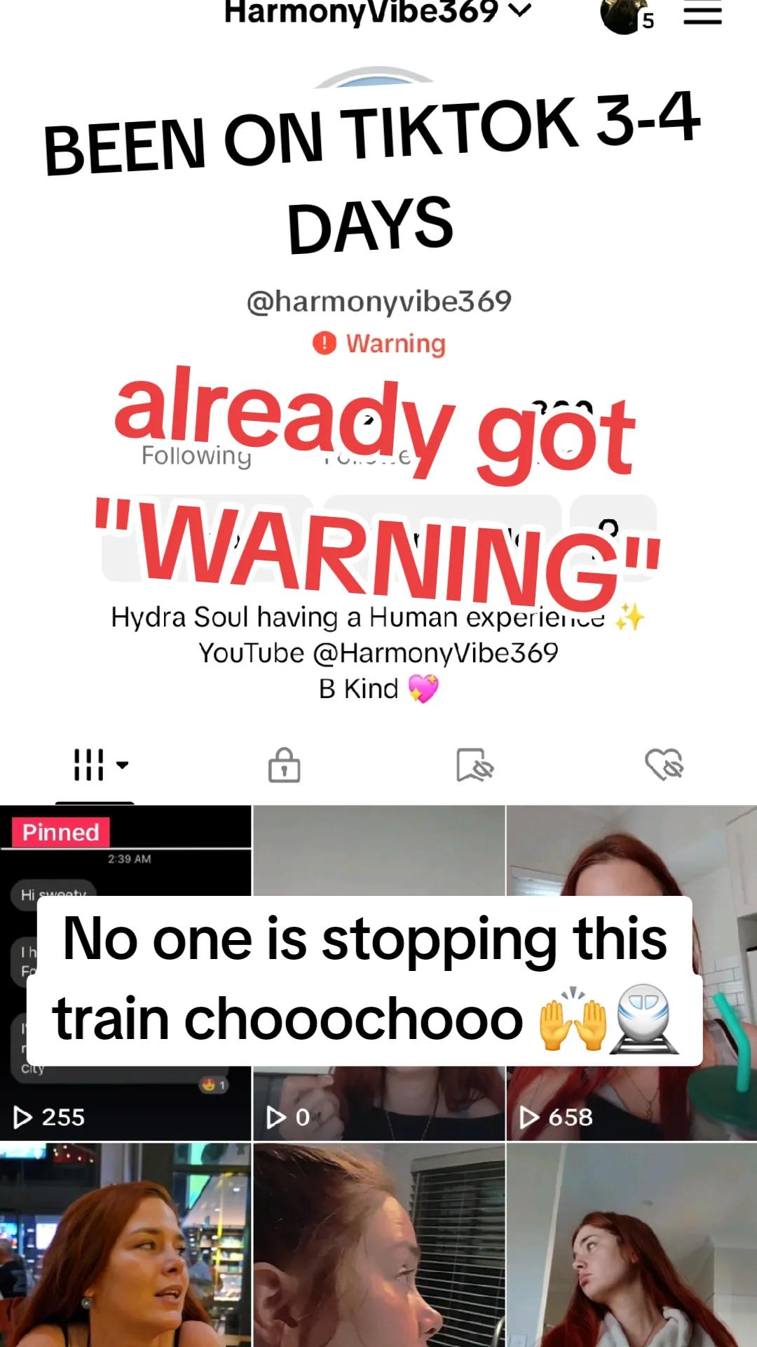 @HarmonyVibe369