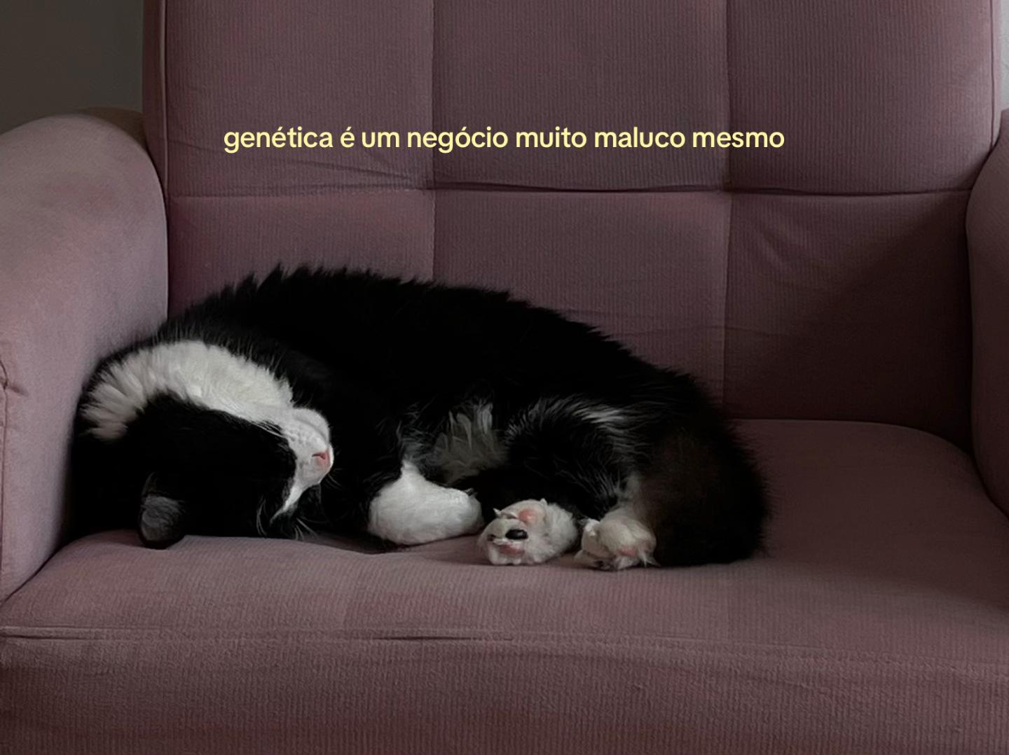 @Manu