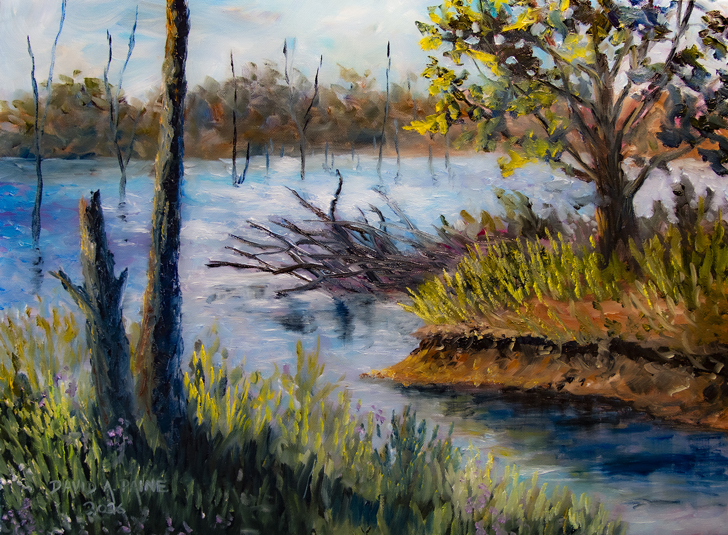 @The Art of David A Paine