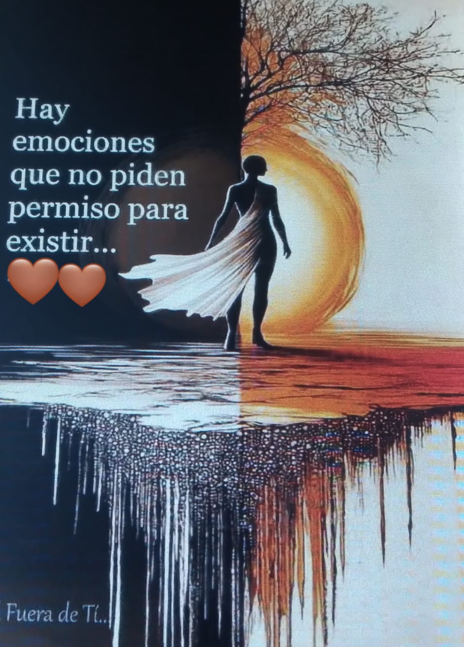 @normita