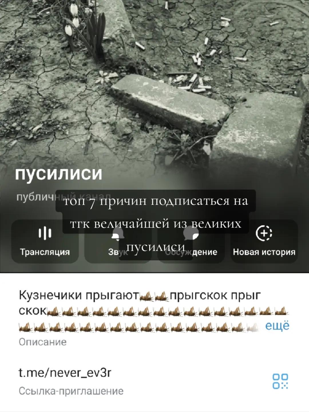 @пусилиси
